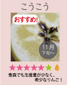こうこう