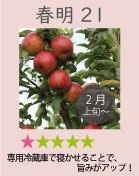 春明21