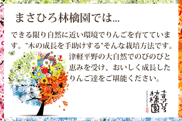 まさひろ林檎園では...できる限り自然に近い環境でりんごを育てています。”木の成長を手助けする”そんな栽培方法です。津軽平野の大自然でのびのびと恵みを受け、おいしく成長したりんご達をご堪能ください。