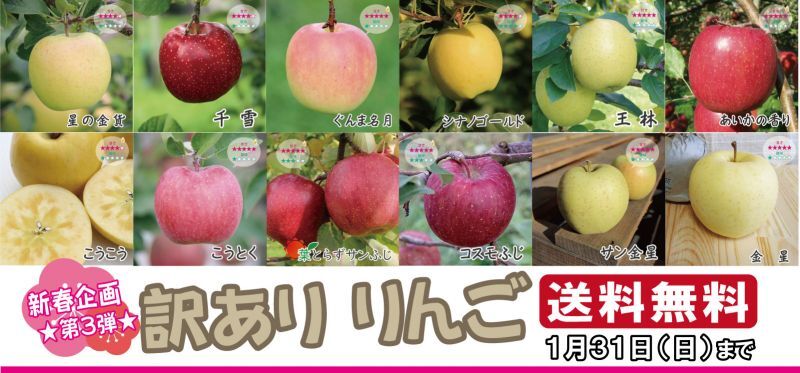 新春企画★第3弾★