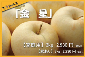 金星