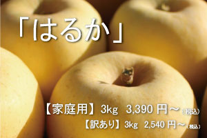 はるか