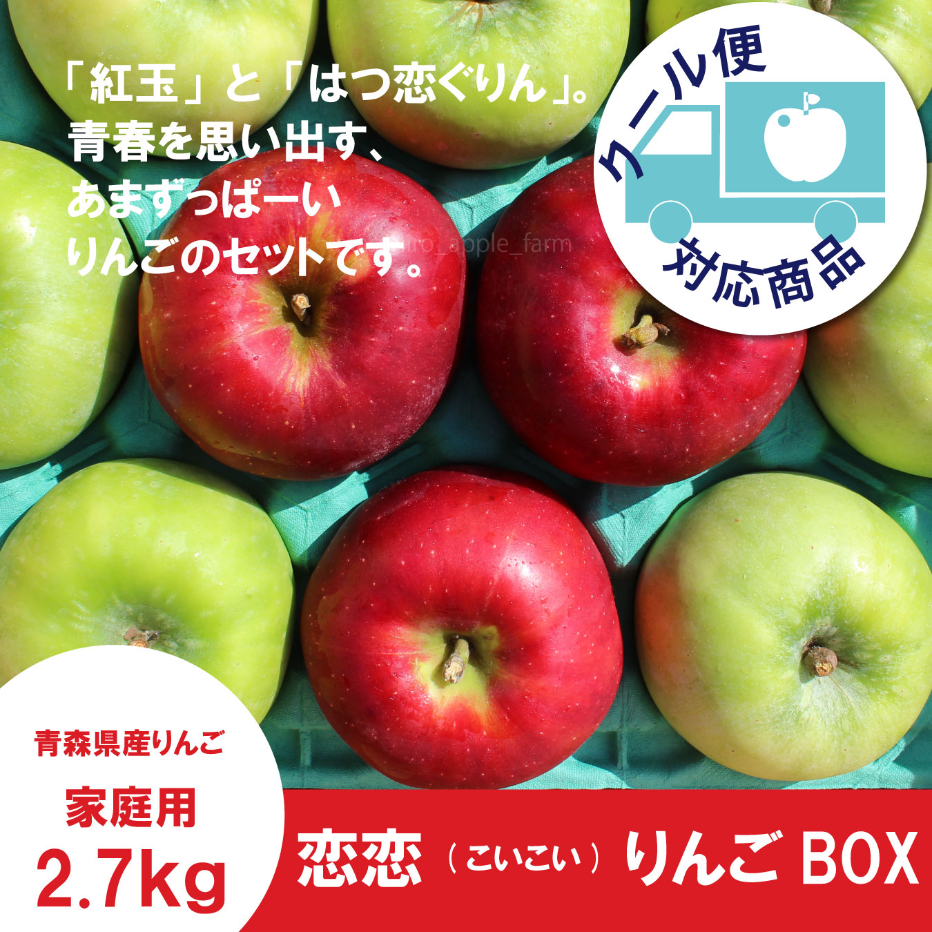 ☆恋恋(こいこい)りんごボックス☆紅玉×はつ恋ぐりん　家庭用約２.７kg（約10個） ≪送料込≫