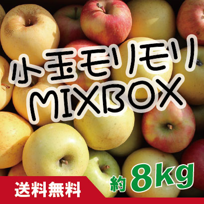 【詰合せ】小玉モリモリMIXBOX　約８kg