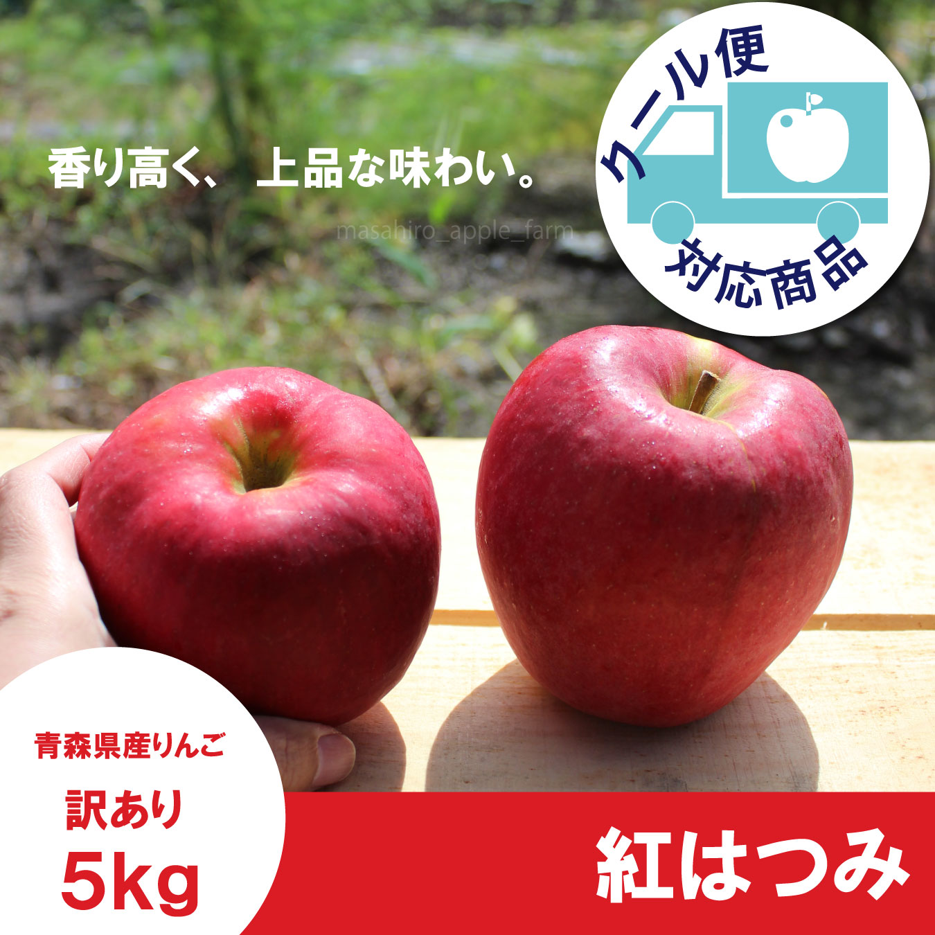紅はつみ　訳あり　５kg（約20個程度）≪送料込≫