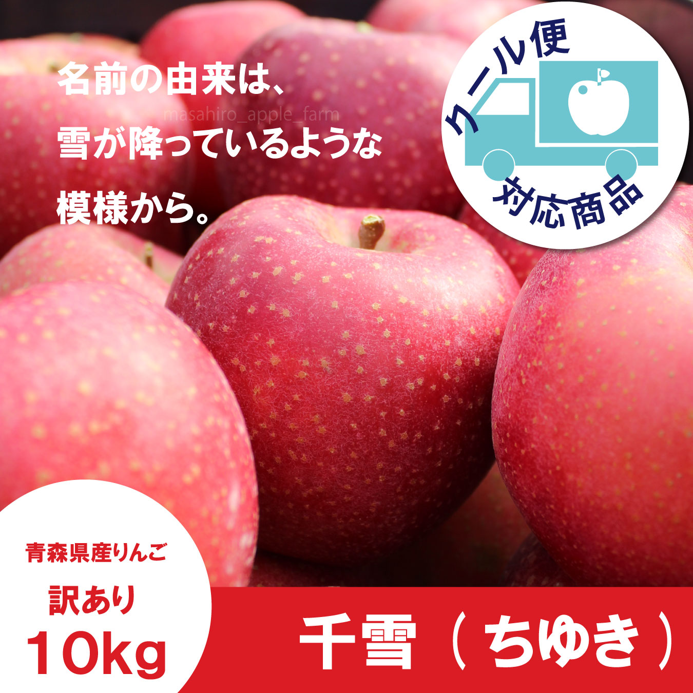 千雪　訳あり　１０kg（約40個前後）≪送料込≫