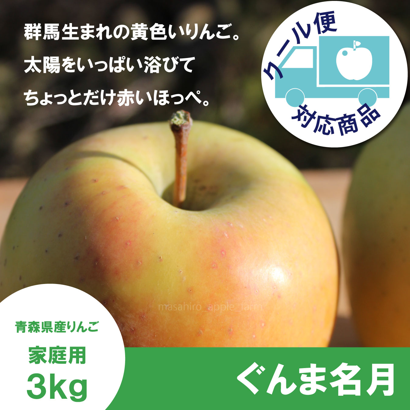 ぐんま名月　家庭用　３kg（約8-11個）≪送料込≫