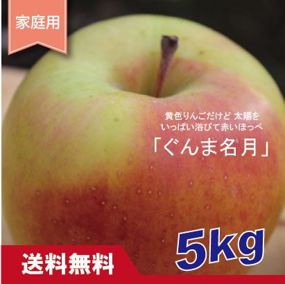 ぐんま名月　家庭用　５kg（約12-20個）