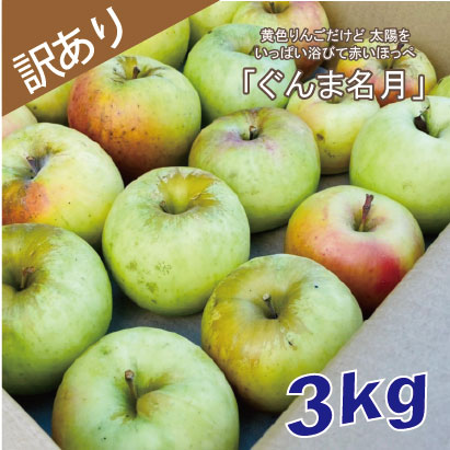 ぐんま名月　訳あり　３kg（約12個程度）