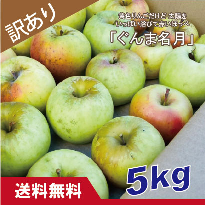 ぐんま名月　訳あり　５kg（約20個程度）