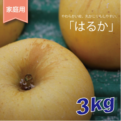 はるか　家庭用　 ３kg（約9-12個）