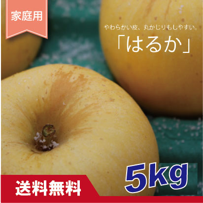 はるか　家庭用　 ５kg（約14-20個）