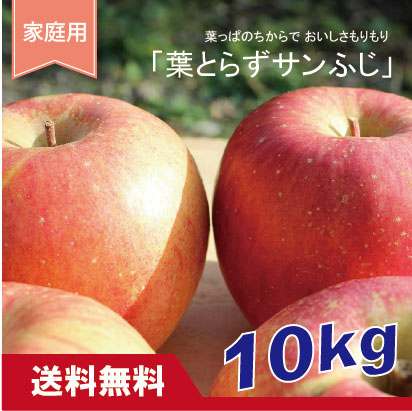 葉とらずサンふじ　家庭用　１０kg（約28-40個）