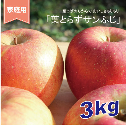 葉とらずサンふじ　家庭用　３kg（約9-12個）