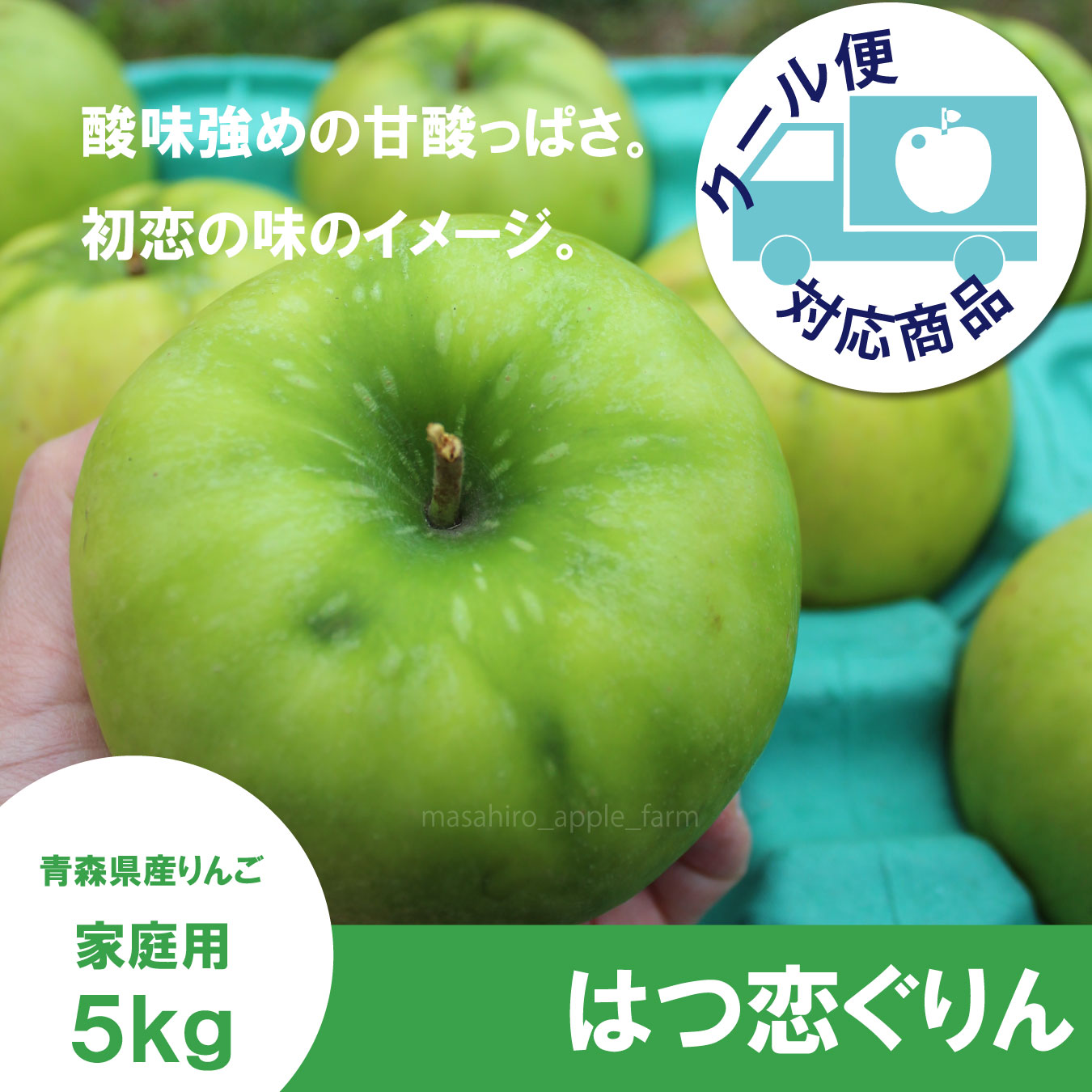 【調理向き】 はつ恋ぐりん　家庭用　５kg（約14〜20個）≪送料込≫