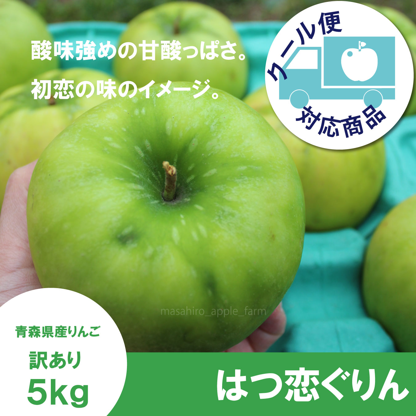 【調理向き】 はつ恋ぐりん　訳あり　５kg（約20個）≪送料込≫