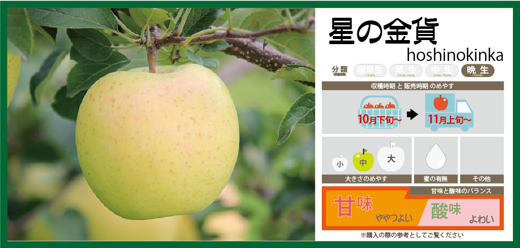 専用宮ちゃん様　青森県産りんご　星の金貨　15個家庭用5kg 80サイズ発送！！