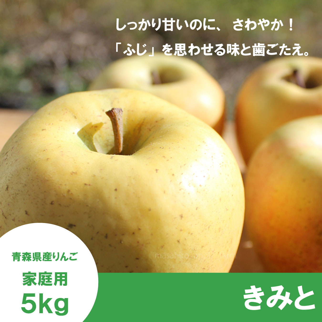 ※11月下旬〜12月上旬発送※ きみと　家庭用　５kg （約14-18個）≪送料込≫