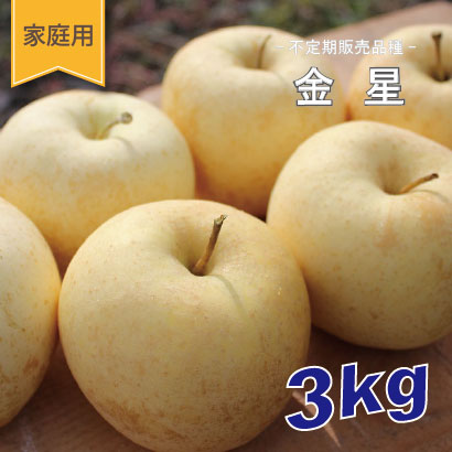 金星　家庭用　３kg （約7-12個）