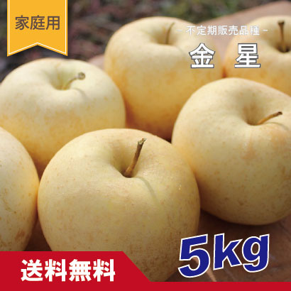 金星　家庭用　５kg （約12-20個）