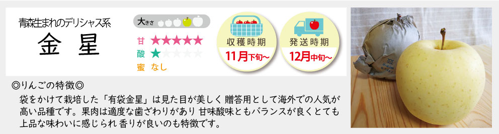 金星の商品詳細