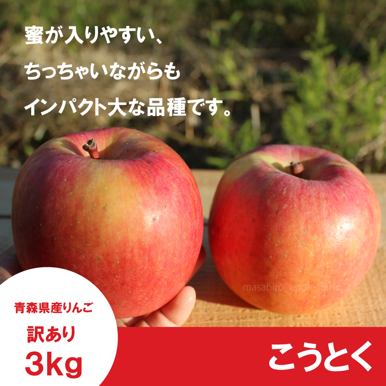 こうとく　訳あり　３kg ≪送料込≫