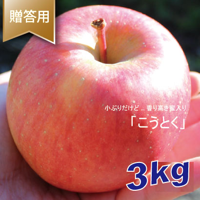 こうとく　贈答用　３kg （約9-12個）※お一人様1箱まで