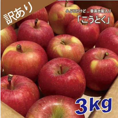 こうとく　訳あり　３kg