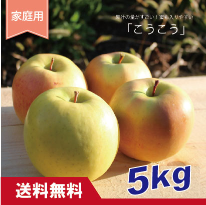 こうこう　家庭用　５kg（約14-20個）