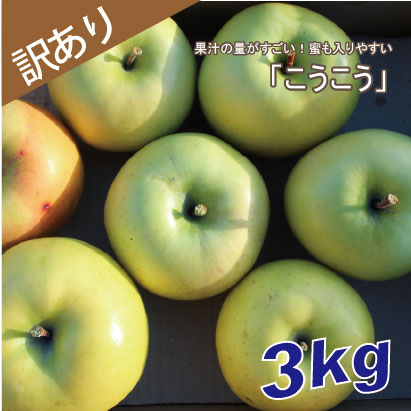 こうこう　訳あり　３kg（約10個程度）