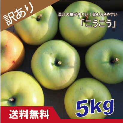 こうこう　訳あり　５kg（約20個程度）