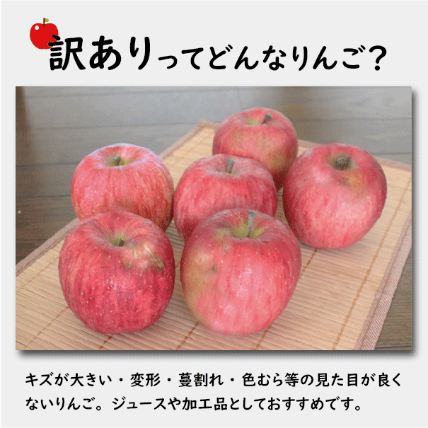 早生ふじ【訳あり５kg】｜まさひろ林檎園