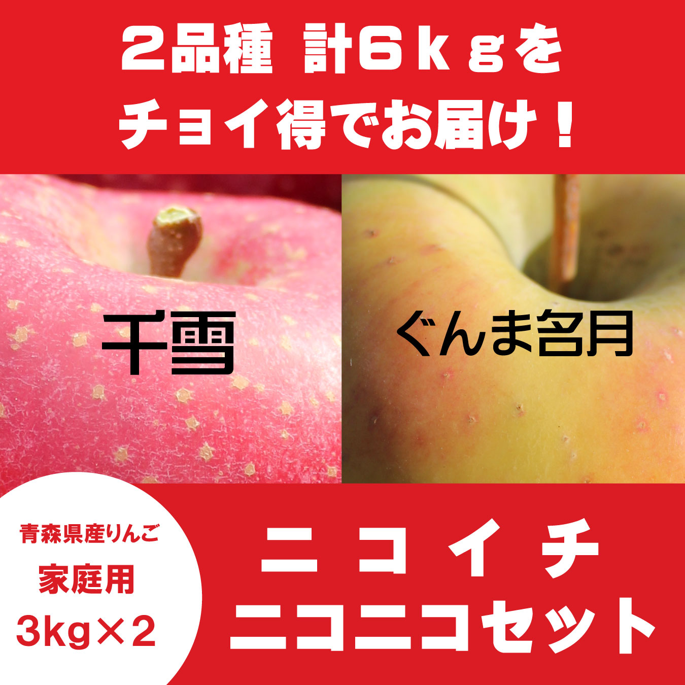 【ニコイチセット】千雪＆ぐんま名月　家庭用　３kg×２箱 ≪送料込≫