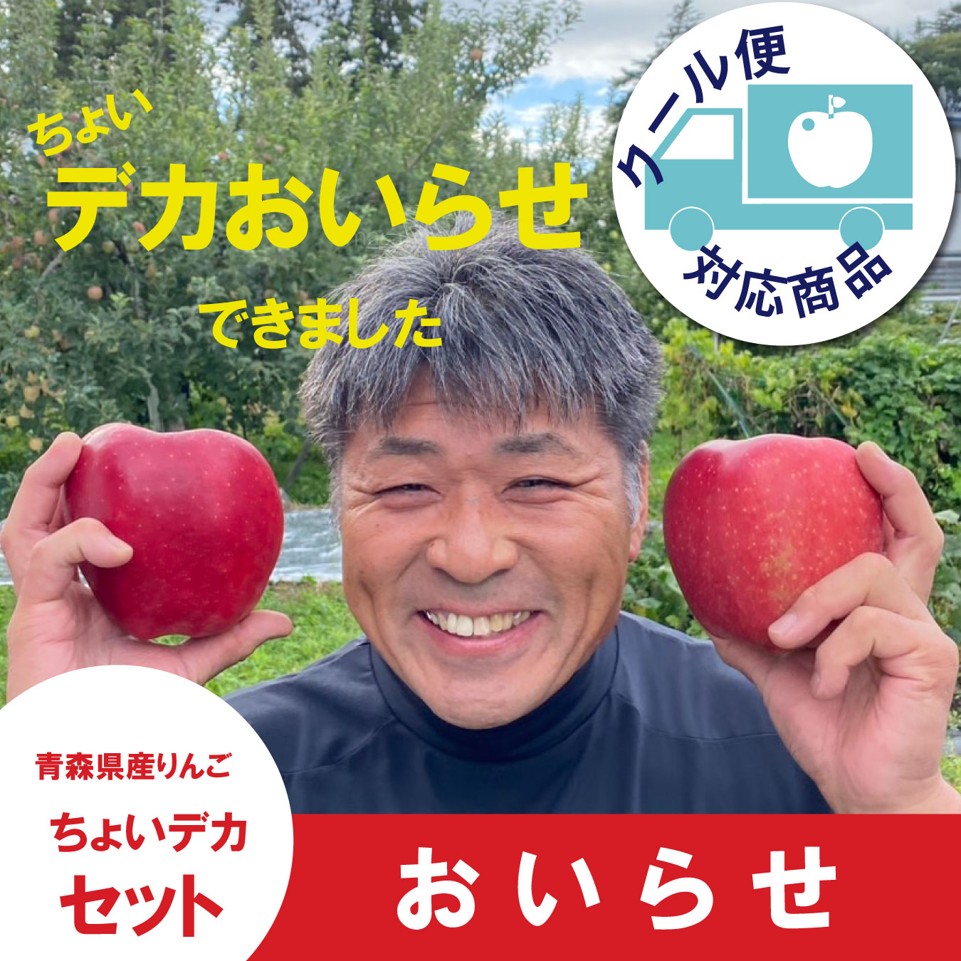 ※数量限定※ おいらせ　ちょいデカセット（一玉約600g 6〜7個入）≪送料込≫