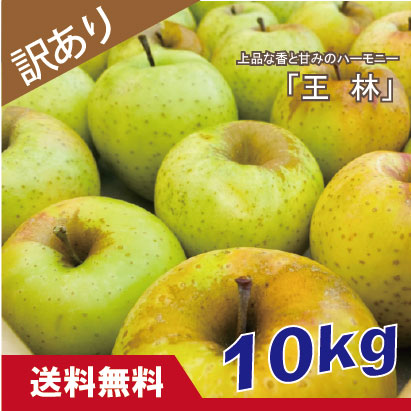 王林　訳あり　１０kg（約40個程度）