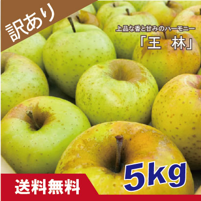 王林　訳あり　５kg（約20個程度）