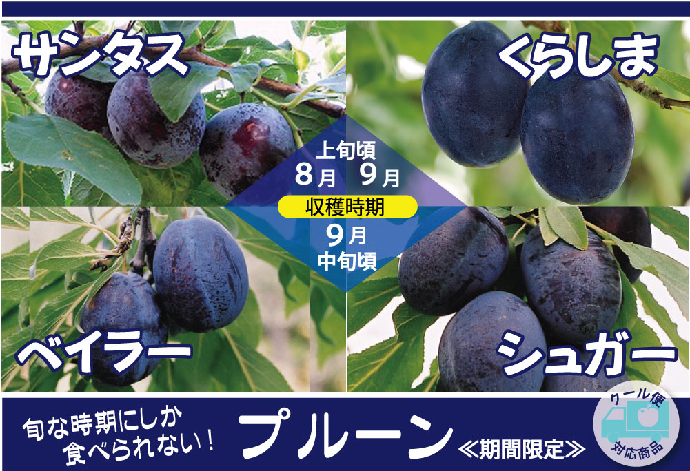 プルーン