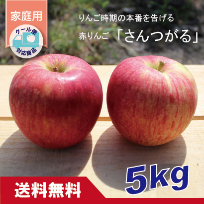 サンつがる　家庭用　５kg（約14-20個）