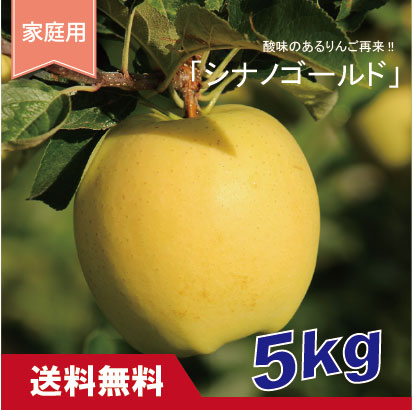 シナノゴールド　家庭用　５kg（約12-20個）