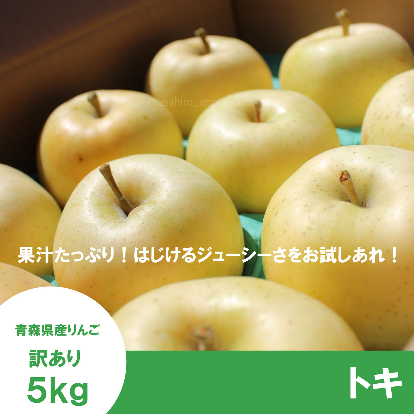 トキ　訳あり　５kg（約20個程度） ≪送料込≫