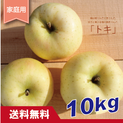 トキ　家庭用　１０kg（約28-40個）