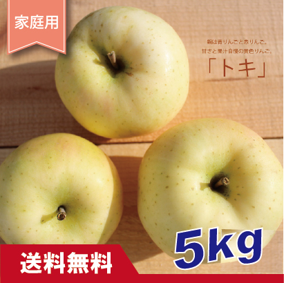 トキ　家庭用　５kg（約14-20個）